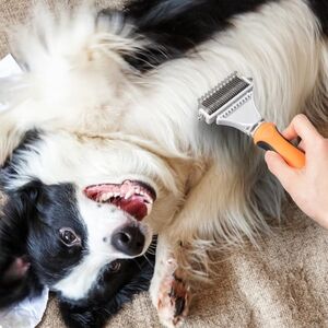 Dematting Comb For Dogs & Cats